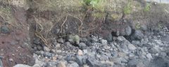 Erosion Scarp Along Road Edge in American Samoa