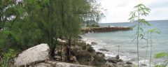 Sumay Bay Shoreline