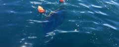 Lagrangian Ocean Current Measurements