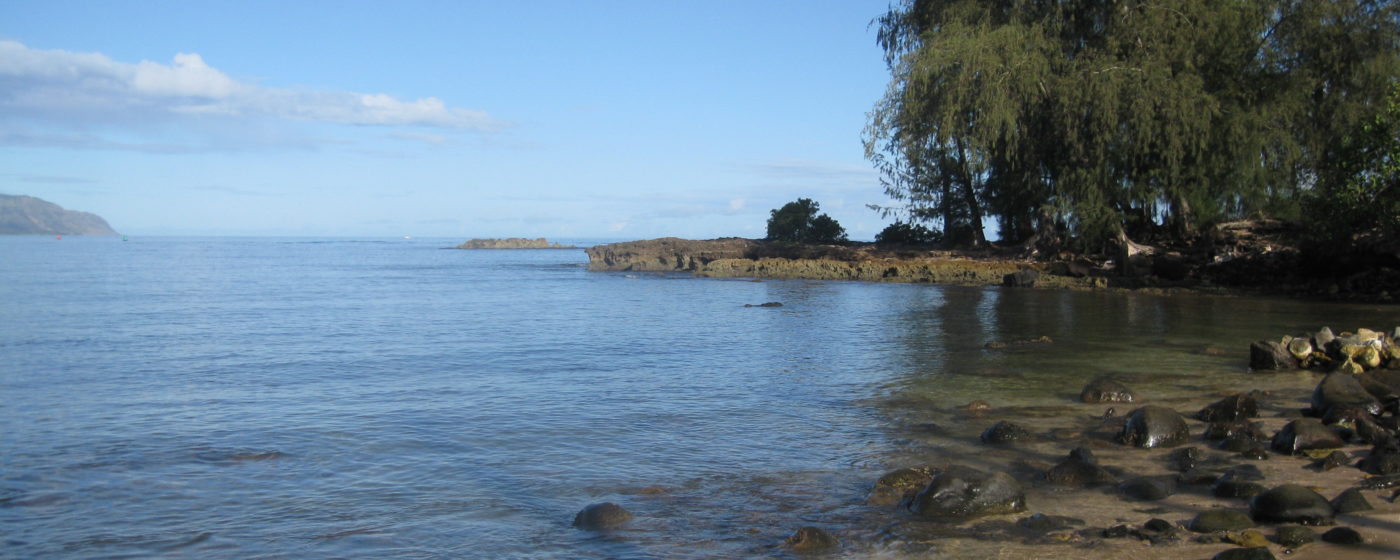 Haleiwa, Punaluu, and Hauula Beach Park Sea Engineering, Inc