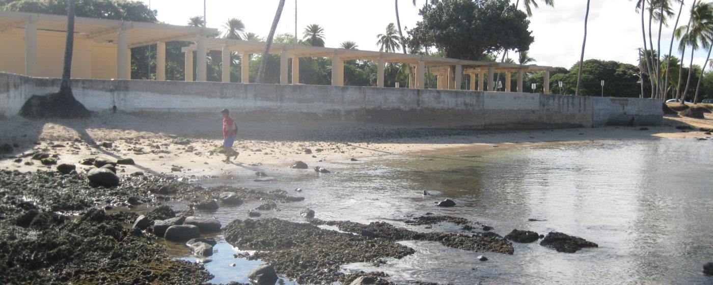 Haleiwa, Punaluu, and Hauula Beach Park Sea Engineering, Inc