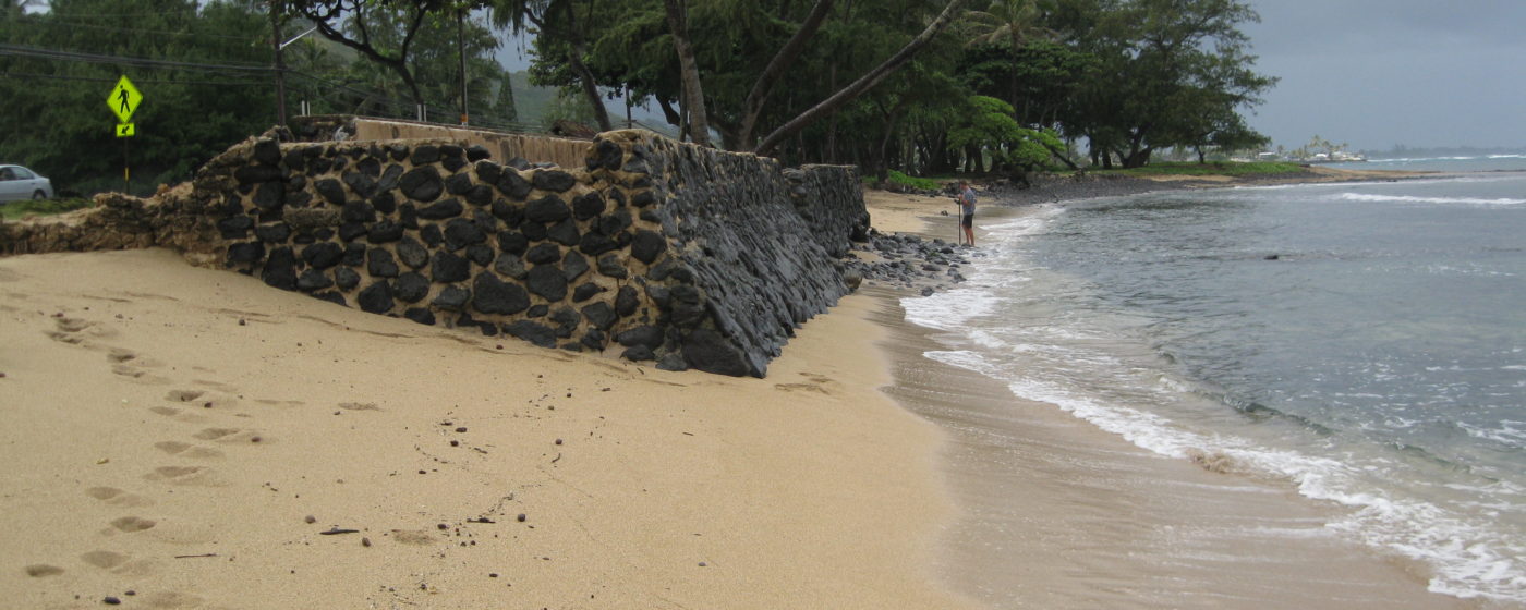 Haleiwa, Punaluu, and Hauula Beach Park Sea Engineering, Inc