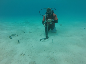 Making Waves With Sea Engineering