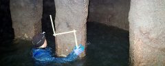 San Francisco Pier 29 Substructure Inspection